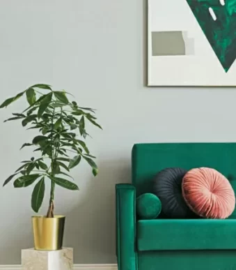 Látex 2000 Tropical